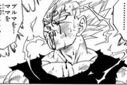 結局ドラゴンボールで感動するシーンって全部ベジータなんだよな