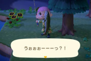 ワイ､どうぶつの森でなにをどうしていいかわからない