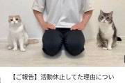 ギネス猫の人気YouTube「もちまる日記」投稿再開　活動休止「本当の理由」も明かされる
