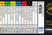 10/11(月) 盛岡11R 第34回 MCS南部杯(JpnⅠ) 17:30発走