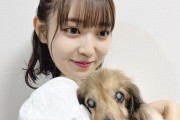 【乃木坂46】阪口珠美、19年間一緒に過ごした愛犬・ティファニーが天国へ。Sing Out！にまつわる逸話も