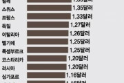 韓国人「コーラの価格世界ランキングで韓国が11位！日本は何位？」→「韓国は先進国なので‥（ﾌﾞﾙﾌﾞﾙ」　韓国の反応