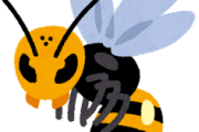 【恐怖】お前らハチに本気で追いかけられたことあるか？ｗｗｗ