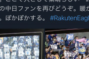 【悲報】楽天、阪神ファンにスタンドでもボコボコにされてKO