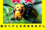 【動画】スズメバチ食べるマン、無事死亡ｗｗｗｗｗｗｗｗ