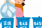 ゴミってどの程度分別してる？