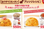 【朗報】すき家、牛丼で作るチャーハンキット(550円)発売決定ｗｗｗｗｗｗ