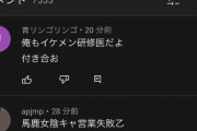 【悲報】本田翼さん（29）、動画コメ欄で罵声を浴びせられてしまう・・・
