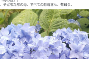 立憲民主党「同性婚の為に日本から父親・母親という言葉を消します。これからは親１・親２です。」←母の日の立憲民主党「全てのお母さん　ありがとう」