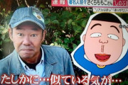 【訃報】ちびまる子ちゃんのはまじ、死去