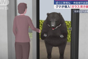 「玄関開けたらクマ」住宅に籠城5時間、住民語る恐怖