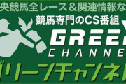 ウマ娘の世界にもグリーンチャンネルがある事実
