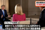【緊急速報】トランプ大統領、新型コロナが武漢研究所から流出した証拠公表へ