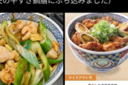【悲報】吉野家、写真と実物が違いすぎて炎上