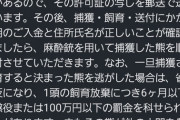 「クマさん殺さないで！」 電話で号泣するクマ好きも…?