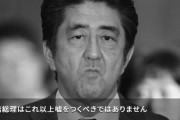 【韓国】ソ・ギョンドク教授が『安倍の嘘』日本語映像をYouTubeに公開