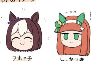 【ウマ娘】最初のイメージ。→ 今のイメージｗｗｗ「アホの子と走り去るアホの子」