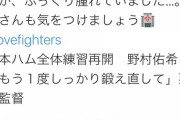 【悲報】栗山監督、スズメバチに刺される
