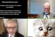 オンライン裁判に猫のまま登場してしまった弁護士の動画が人気にｗｗｗ