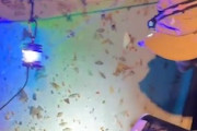 【動画】ガ写真家の撮影風景がなかなかキモい。