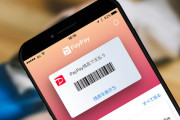 PayPayに乗り遅れたやつｗｗｗｗｗｗｗ