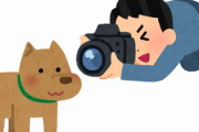 犬とカメラ買ってYouTubeやるんだがオススメ教えて