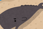 クジラさん、恐竜が滅んだ後に陸から出戻りした生物だったｗｗｗｗｗｗｗｗｗ
