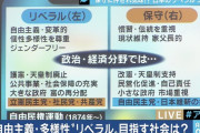 国民を見て政治をしないからだろ　～　「理想論ばかり」　なぜ日本の「リベラル」は批判されるのか
