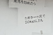 ビッチデブさん、体重を理由に乗馬を拒否され「ヘイトだ」と激おこ→牧場に公式謝罪させ批判殺到へ