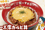 【すき家の新ジャンル】すき家さん「チーズ牛カルビ丼」爆誕wwwwwwww（画像あり）