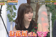 【乃木坂46い】生田絵梨花、激白…小さい頃なりたかった職業…