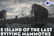 マンモスが最後まで生き残った島。海外の反応