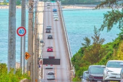 車移動が主流の沖縄へ旅行「当分ない」　車離れする10～30代が敬遠　移動手段で運転に抵抗感