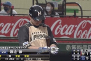 日ハム渡邉諒.254 0本 9打点←不動の5番という事実