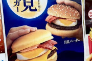 【極画像】マクドの新商品、月見バーガーきたぁぁぁぁぁぁ！！！