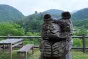 クマさん射殺するのは人間のエゴじゃね？