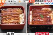 日清が商品化した「謎うなぎ」が凄い