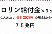 れいわ新選組、ﾆｭｰﾃﾞｨｰﾙ政策を公約に　全国民にメロリン給付金60万円など総額100兆円の経済支援