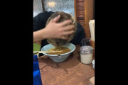 【炎上】「ラーメンで頭洗ったら炎上！？今度は6700万円請求の恐怖再びか」