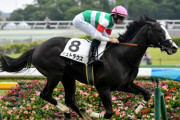 【競馬予想】[1]第75回朝日杯フューチュリティステークス(GⅠ) /2023