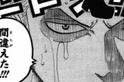 【ONE PIECE】ルフィ「ゾロ、カイドウを頼む！」　ゾロ「了解だ船長…」