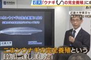 近畿大さん､今度はニホンウナギの完全養殖に成功 大学では世界初