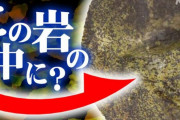 20億年前の地層から地球最古の微生物を生きていると見られる状態で採取に成功