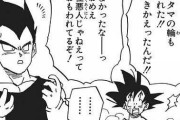 【ドラゴンボール】悟空「ベジータ！おめえ極悪人じゃねえって思われてるぞ！」