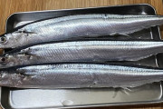 【秋の味覚】秋刀魚を料理して食べるよ！