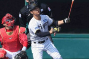 阪神・井坪、町田がSGLでの2軍練習に合流　井坪はオープン戦7試合出場、打率・222