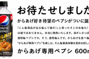 【画像】ペプシコーラ社、「こういうのでいいんだよ」な新商品を発売