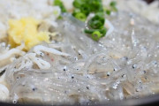 ワイ「しらす一匹ください」魚屋「はっ？　1円だけど……」