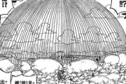 ワンピース、結局ドフラミンゴの必殺技「鳥カゴ」が作中最強技で終わる