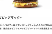 【ヲタク】お前ら「ギガビッグマック」食べた？